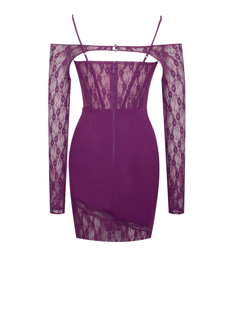 Elsie Purple Lace and Crepe Mini Dress