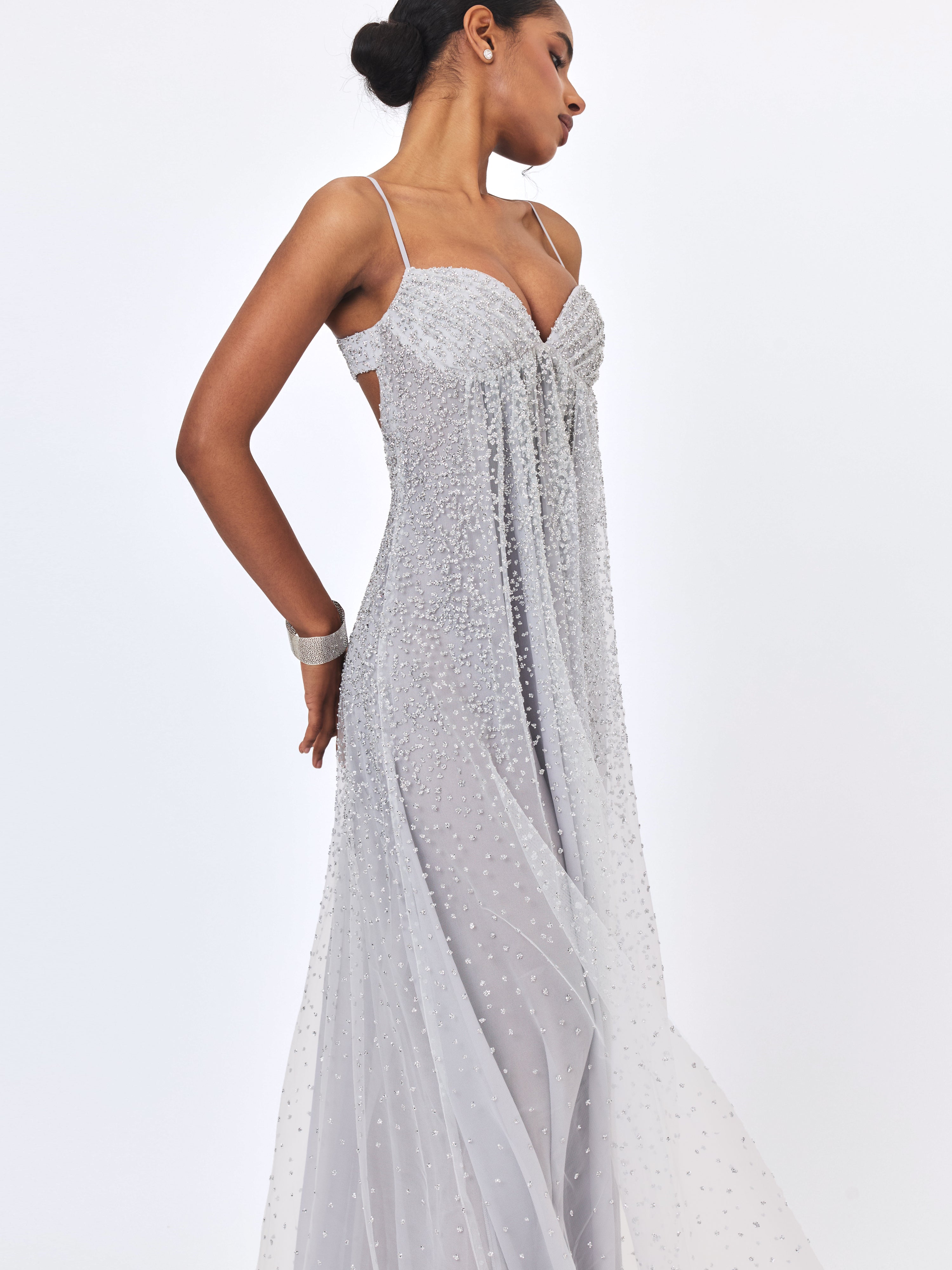 Wallie Silver Rhinestone Embellished Mesh Backless Gown