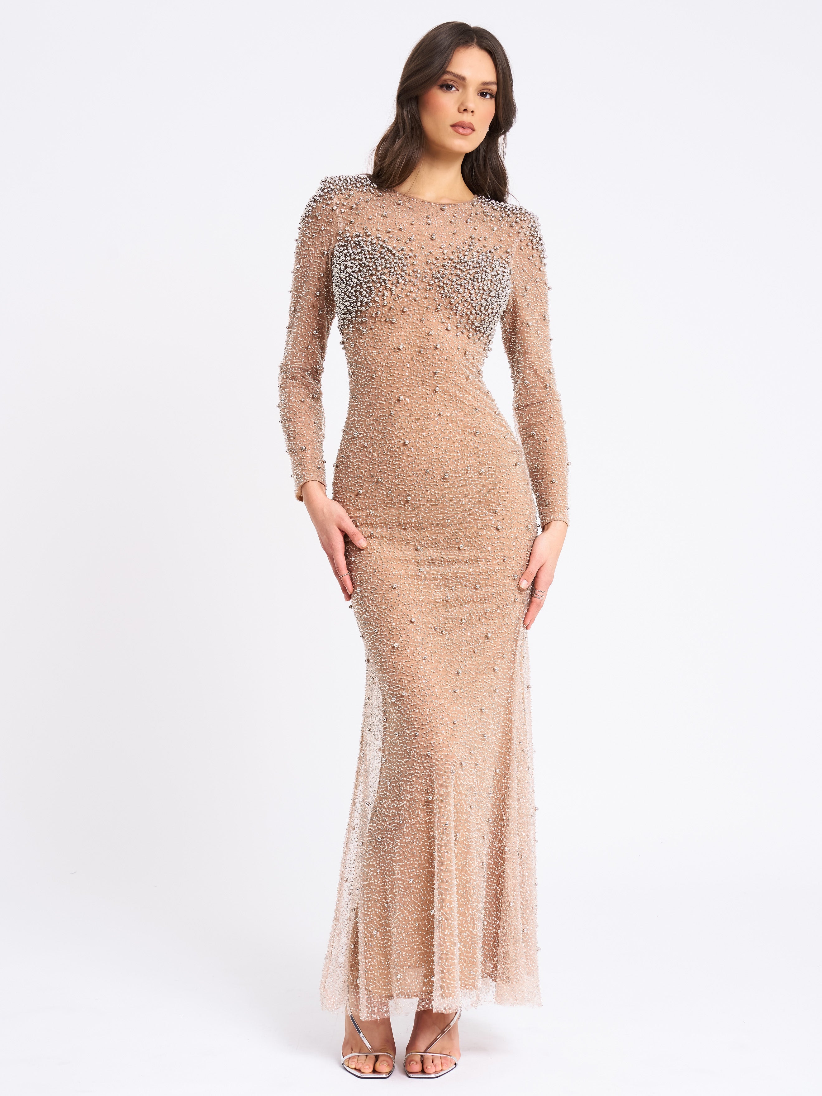 Rita Embroidered Mesh Silver Beaded Mermaid Gown