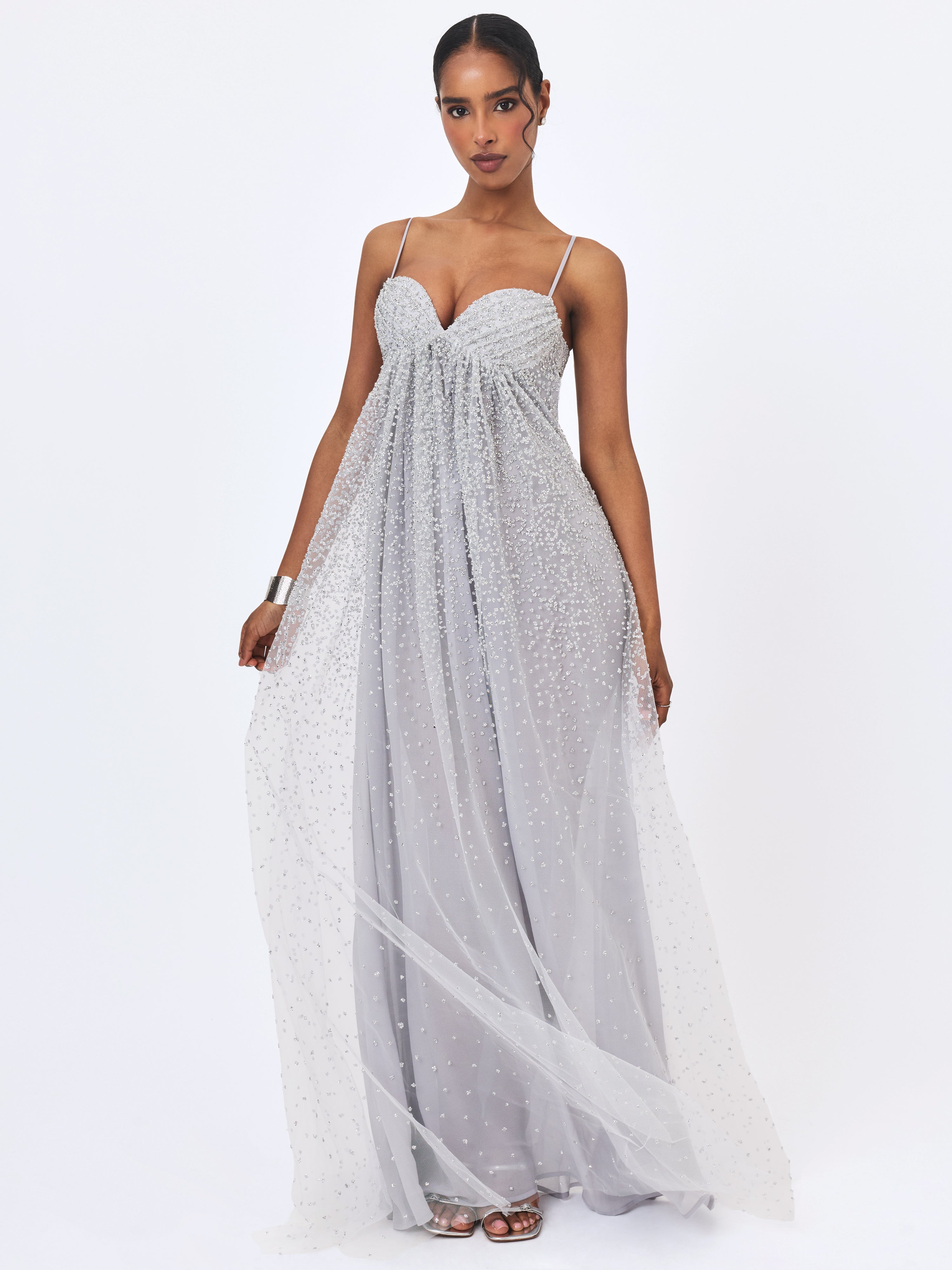 Wallie Silver Rhinestone Embellished Mesh Backless Gown