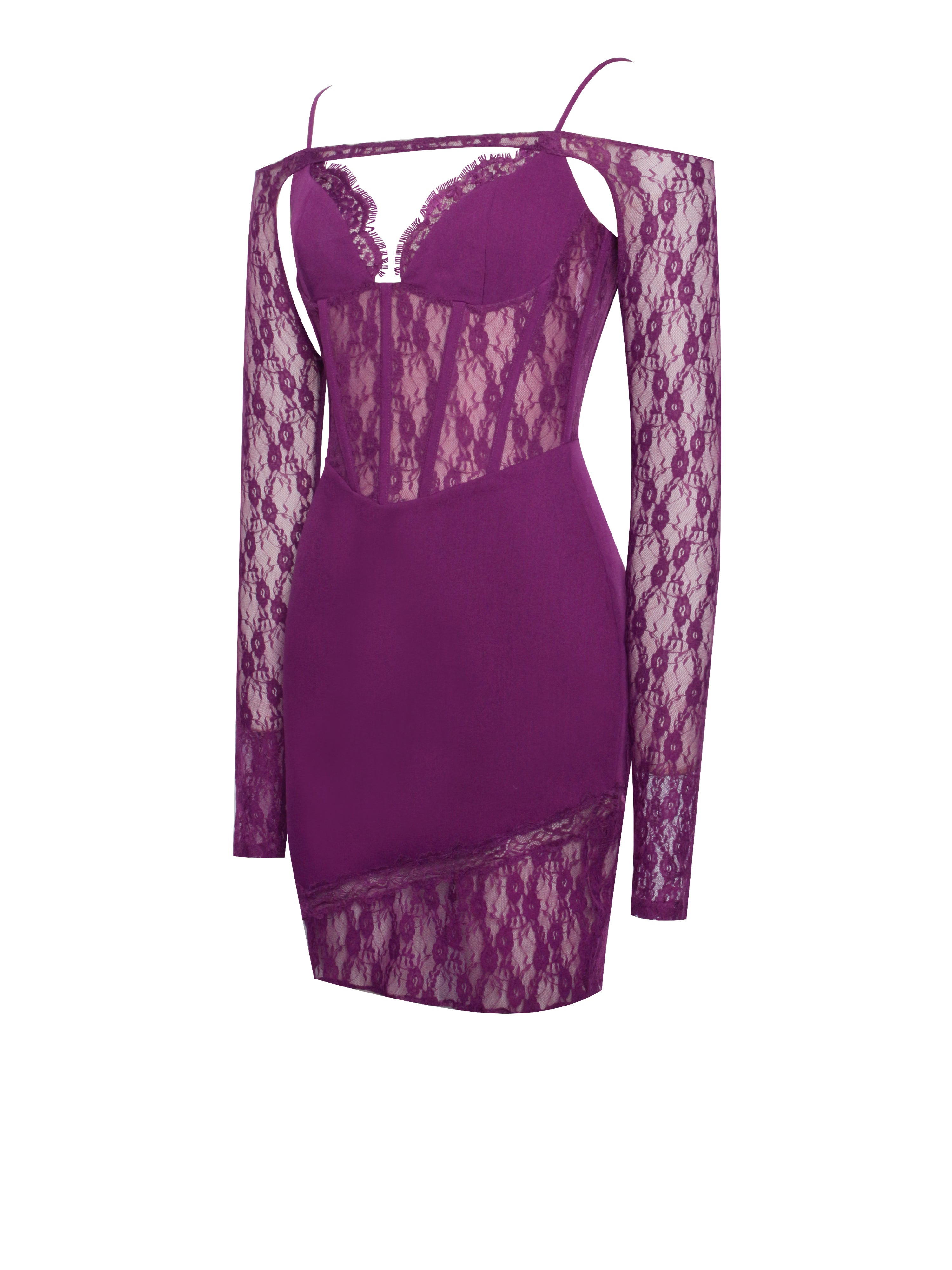 Elsie Purple Lace and Crepe Mini Dress