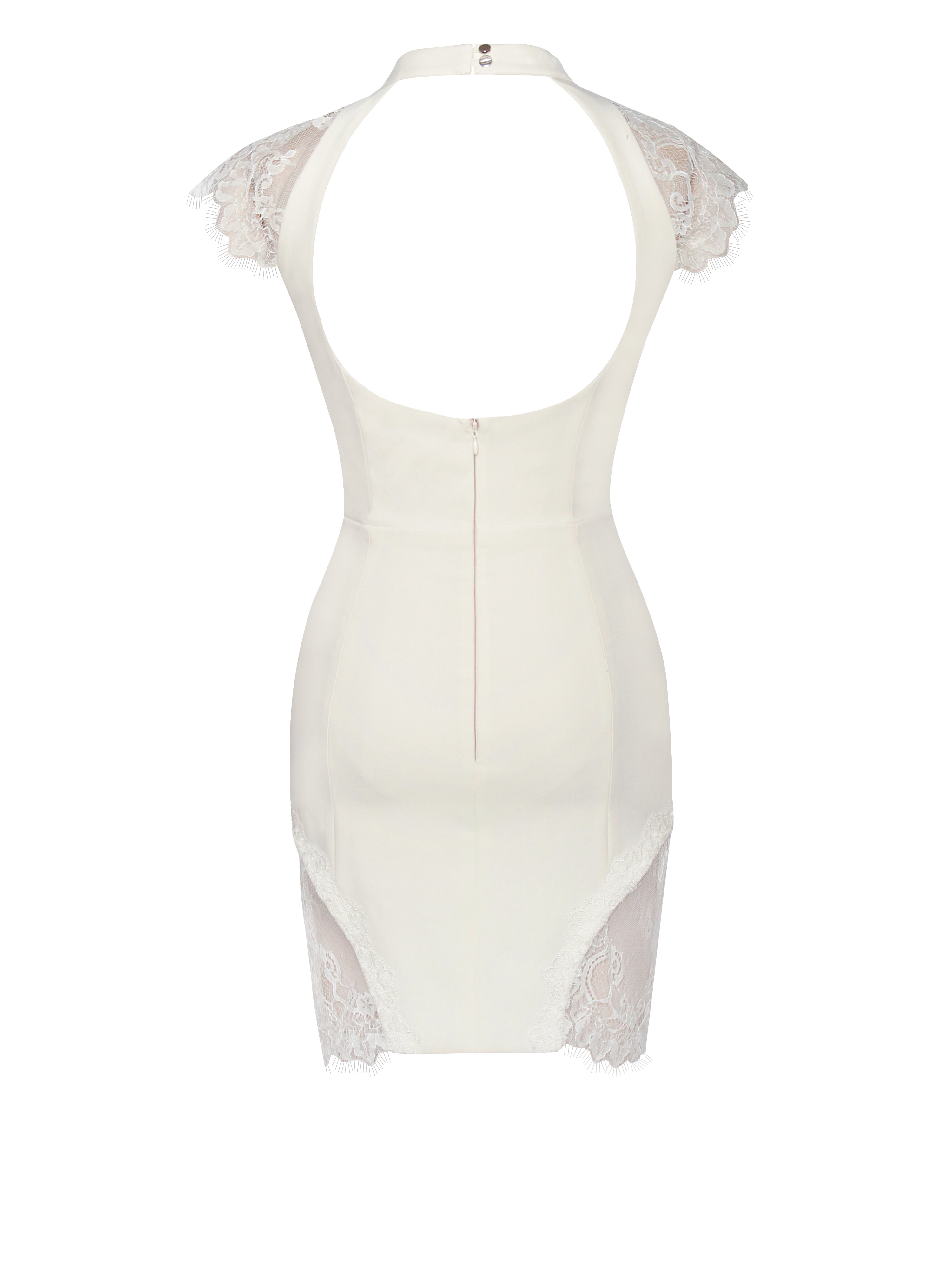 Quinella White Lace Crepe Backless Mini Dress