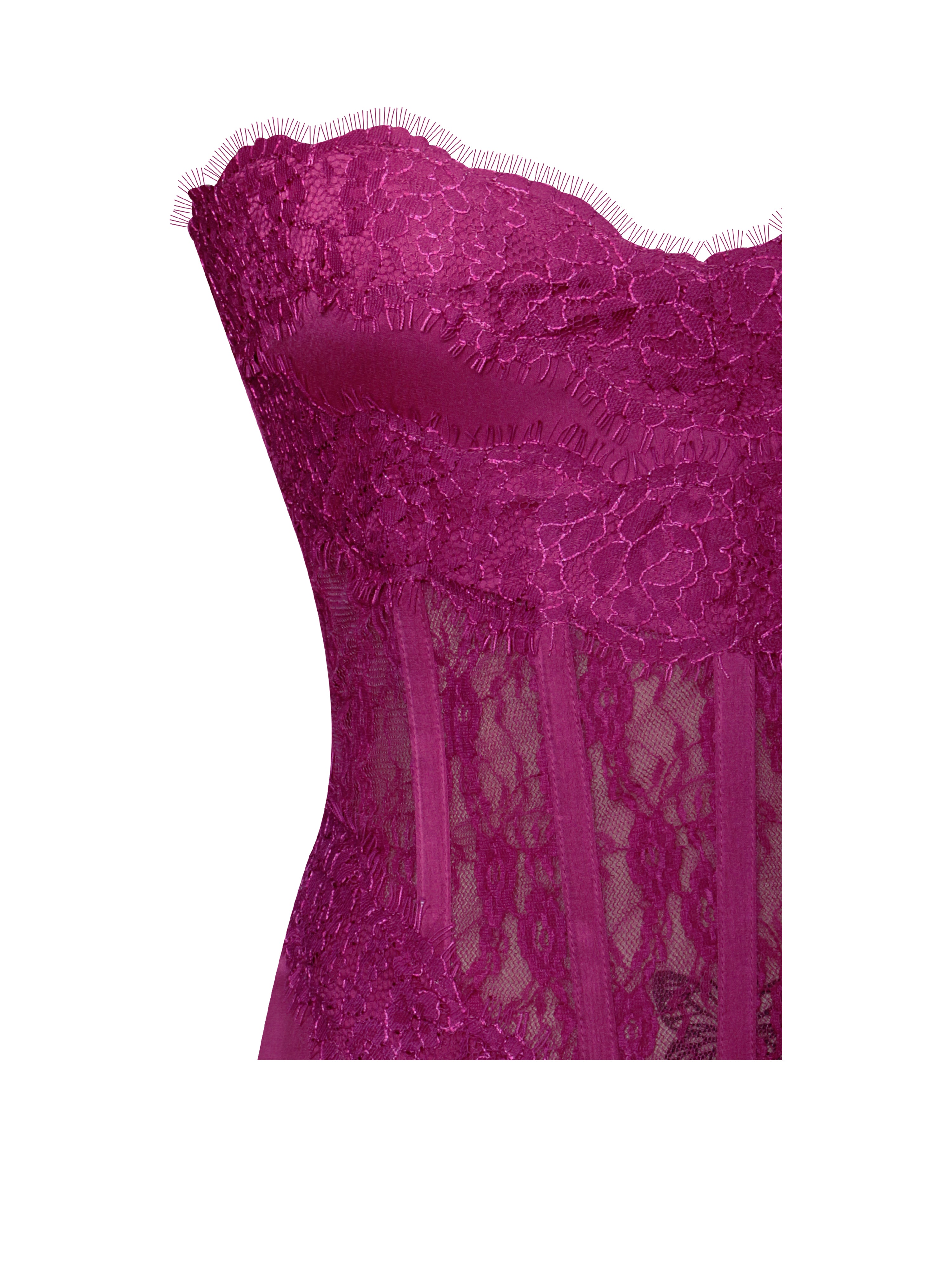 Everleigh Fuchsia Lace Satin Corset Maxi Dress