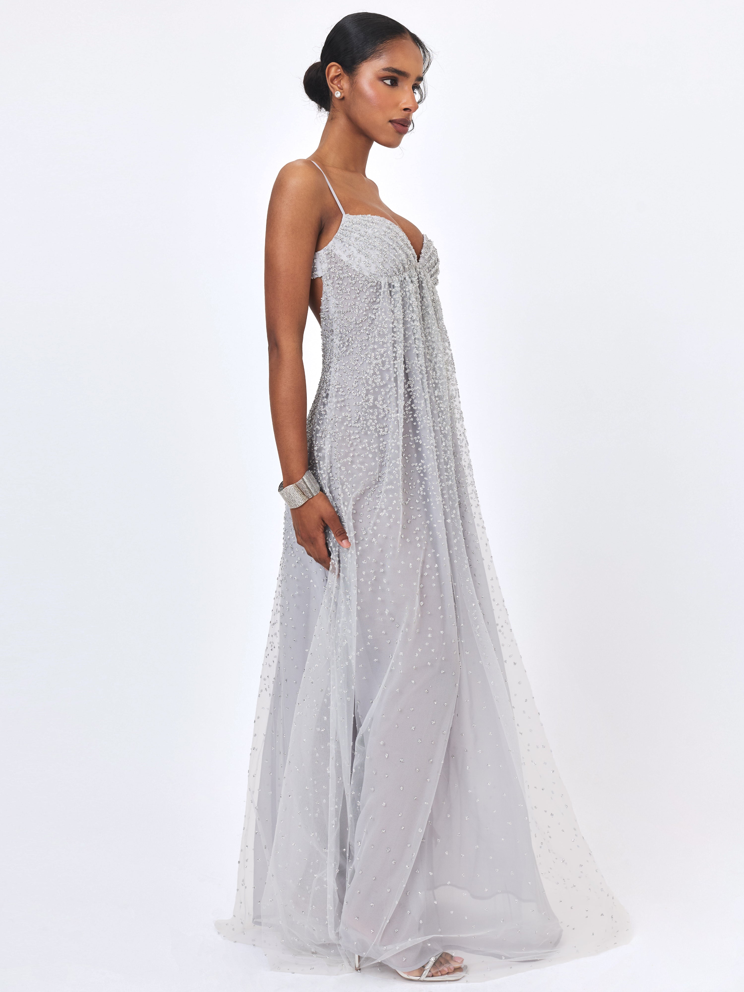 Wallie Silver Rhinestone Embellished Mesh Backless Gown