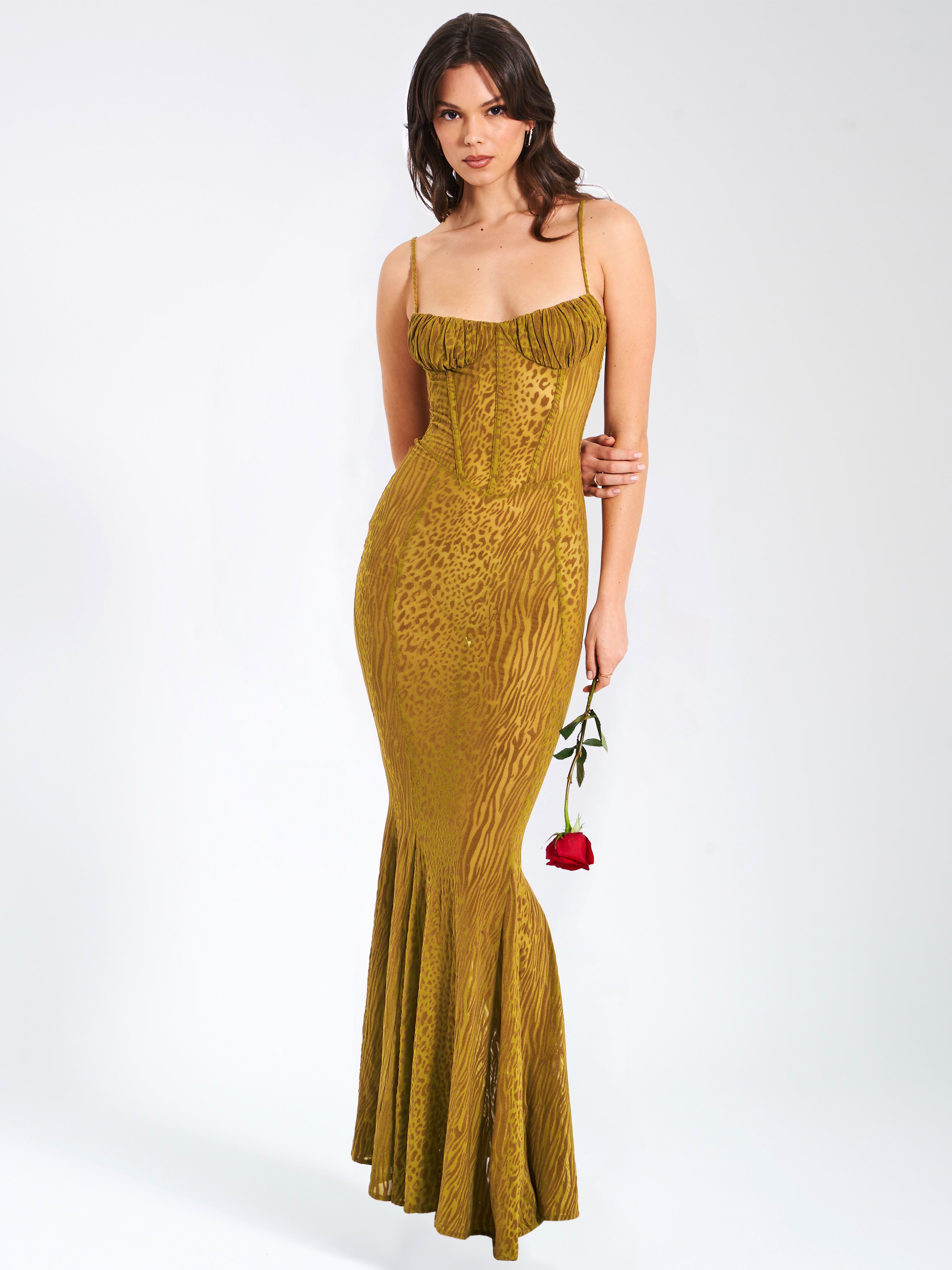 Ulani Gold Burnout Velvet Detail Mesh Maxi Dress