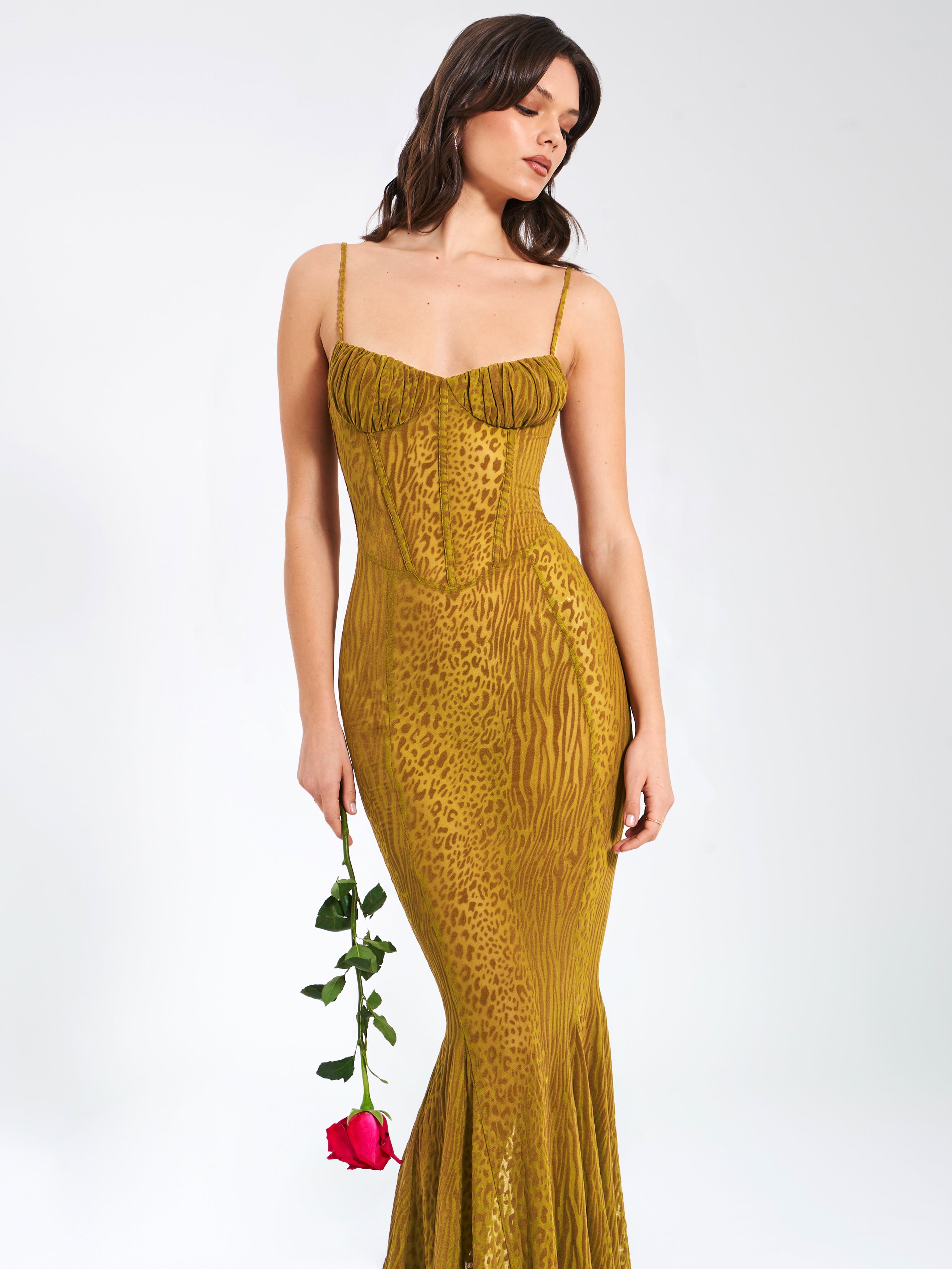 Ulani Gold Burnout Velvet Detail Mesh Maxi Dress