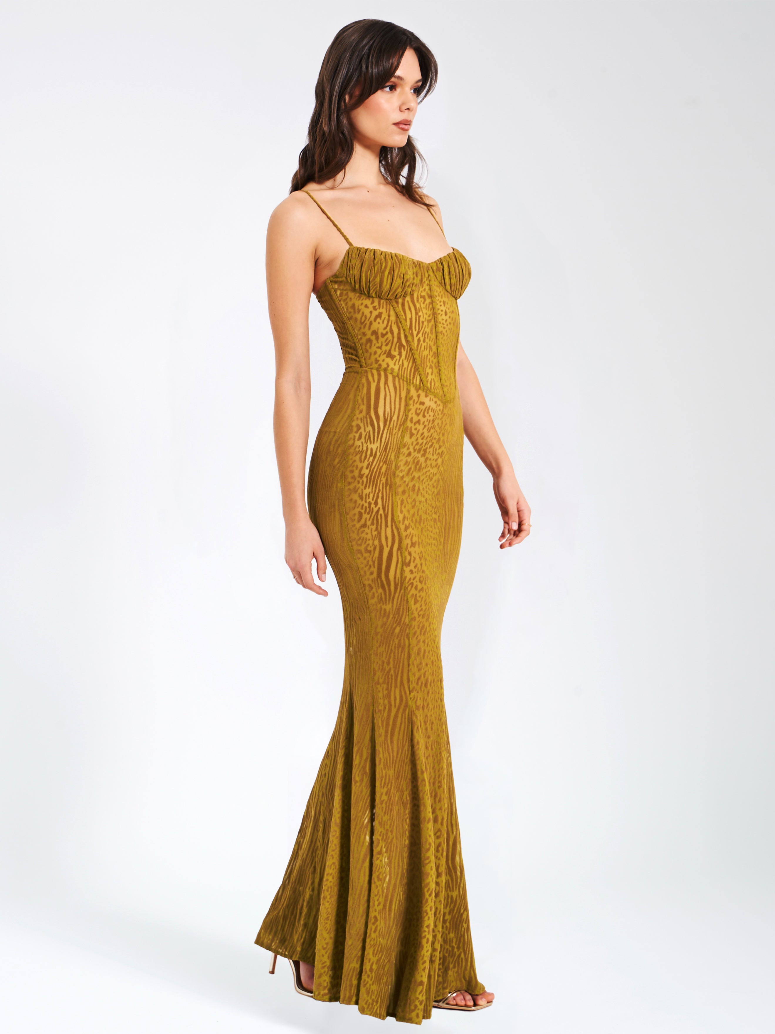 Ulani Gold Burnout Velvet Detail Mesh Maxi Dress