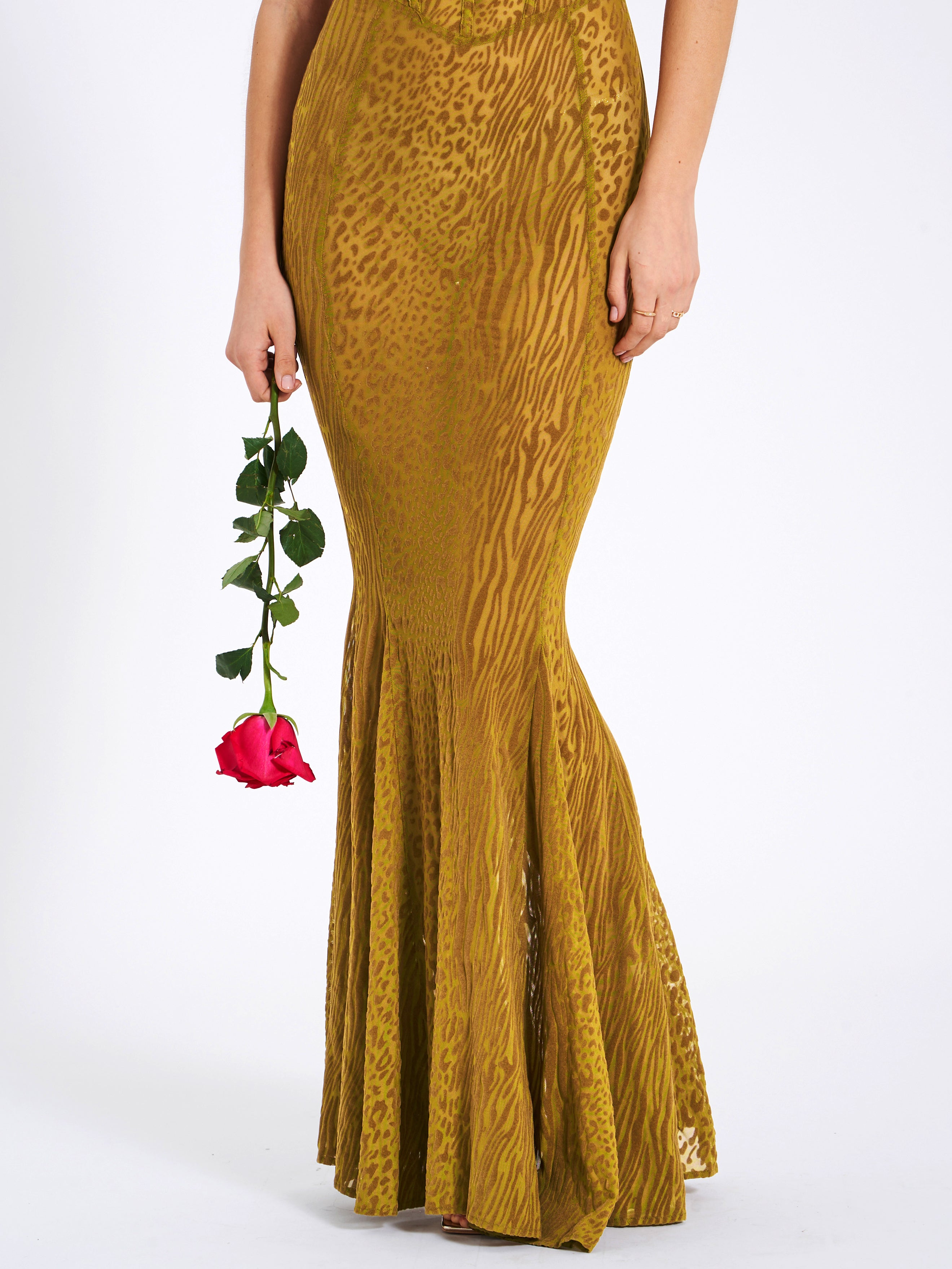 Ulani Gold Burnout Velvet Detail Mesh Maxi Dress