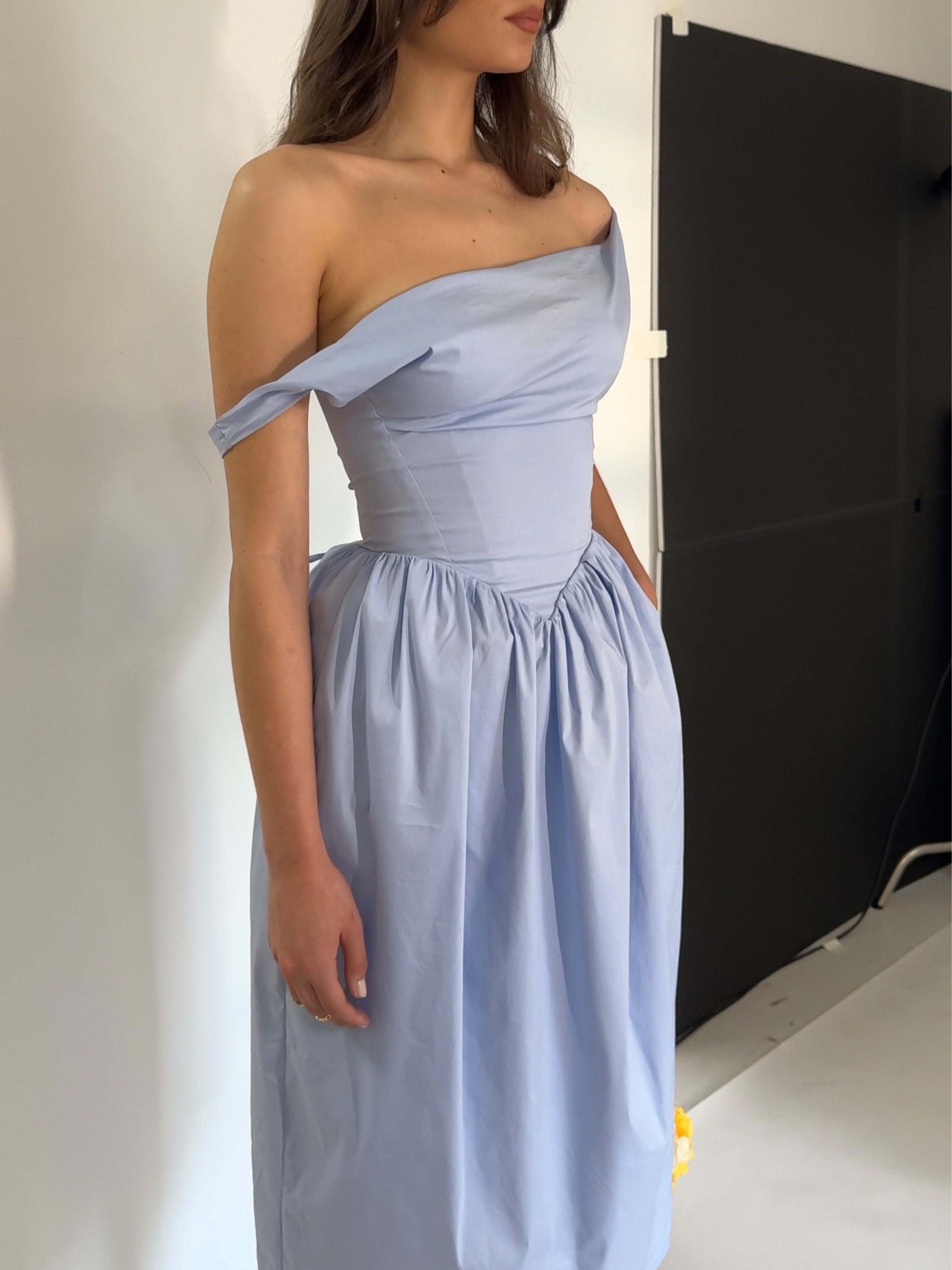 Reina Blue Drop Waist Corset Midi Dress – Miss Circle