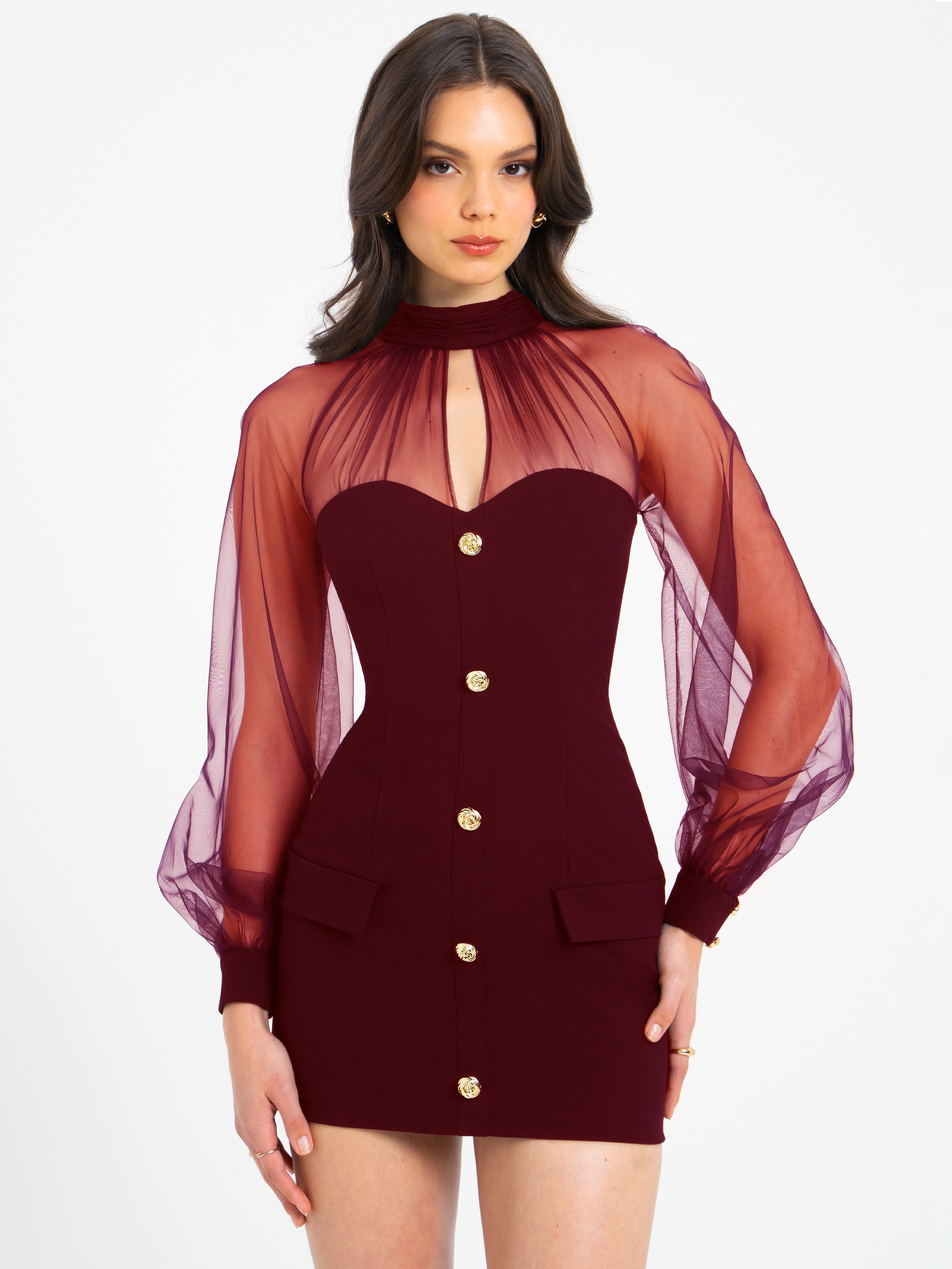 Tabitha Burgundy Mesh Lantern Sleeve Mini Dress