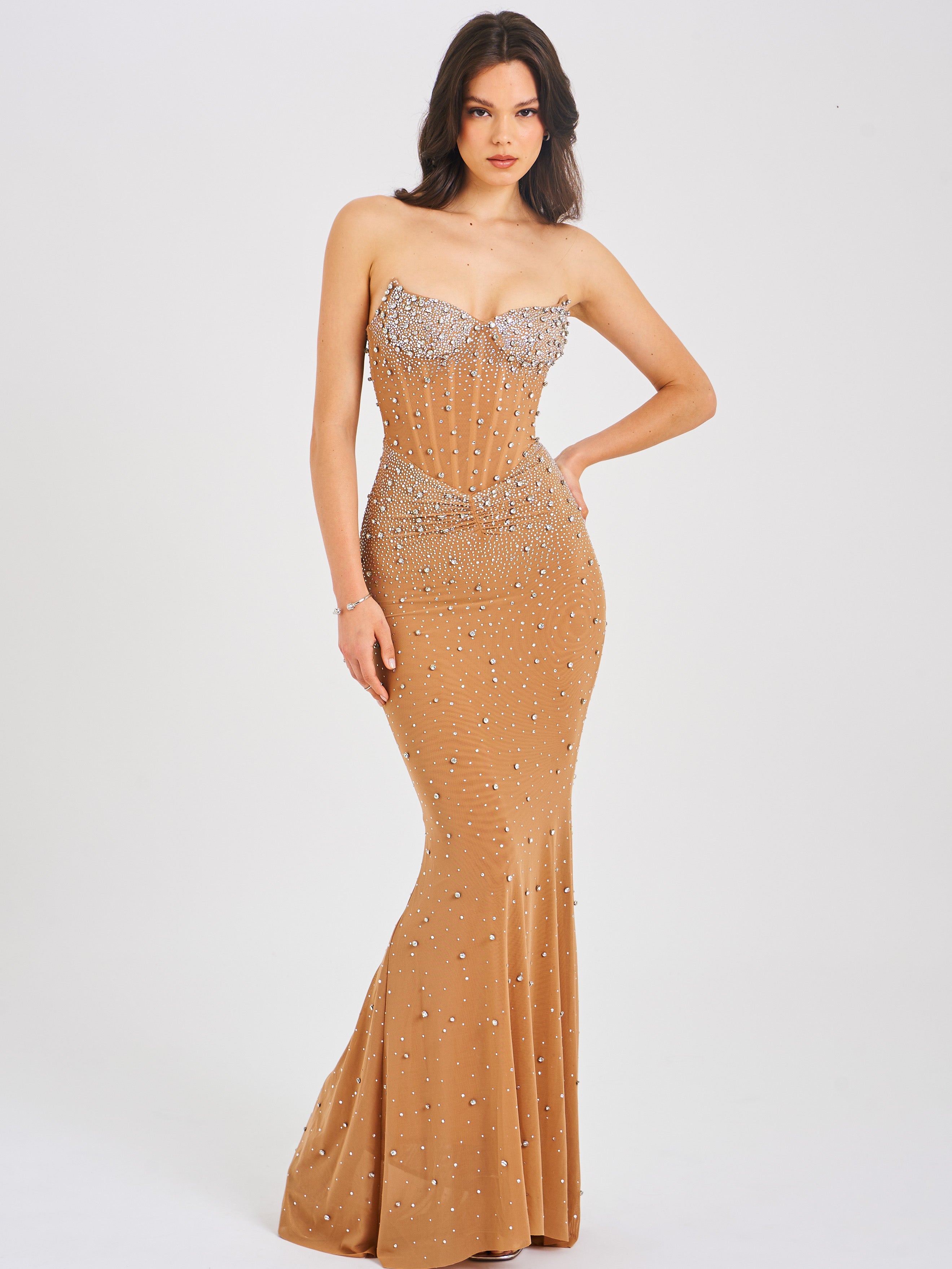 Fatima Crystal Sleeveless Corset Mermaid Maxi Dress