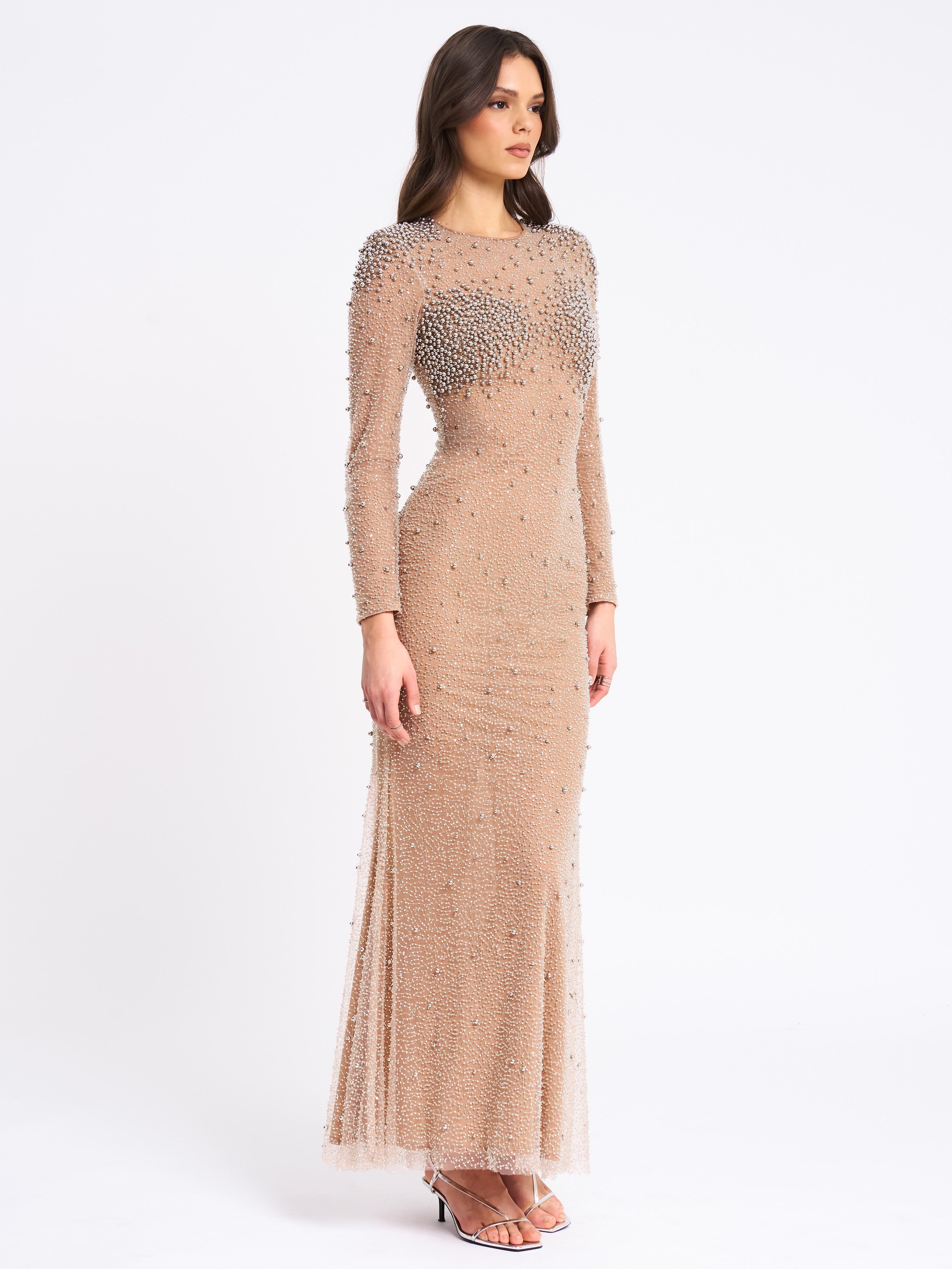 Rita Embroidered Mesh Silver Beaded Mermaid Gown