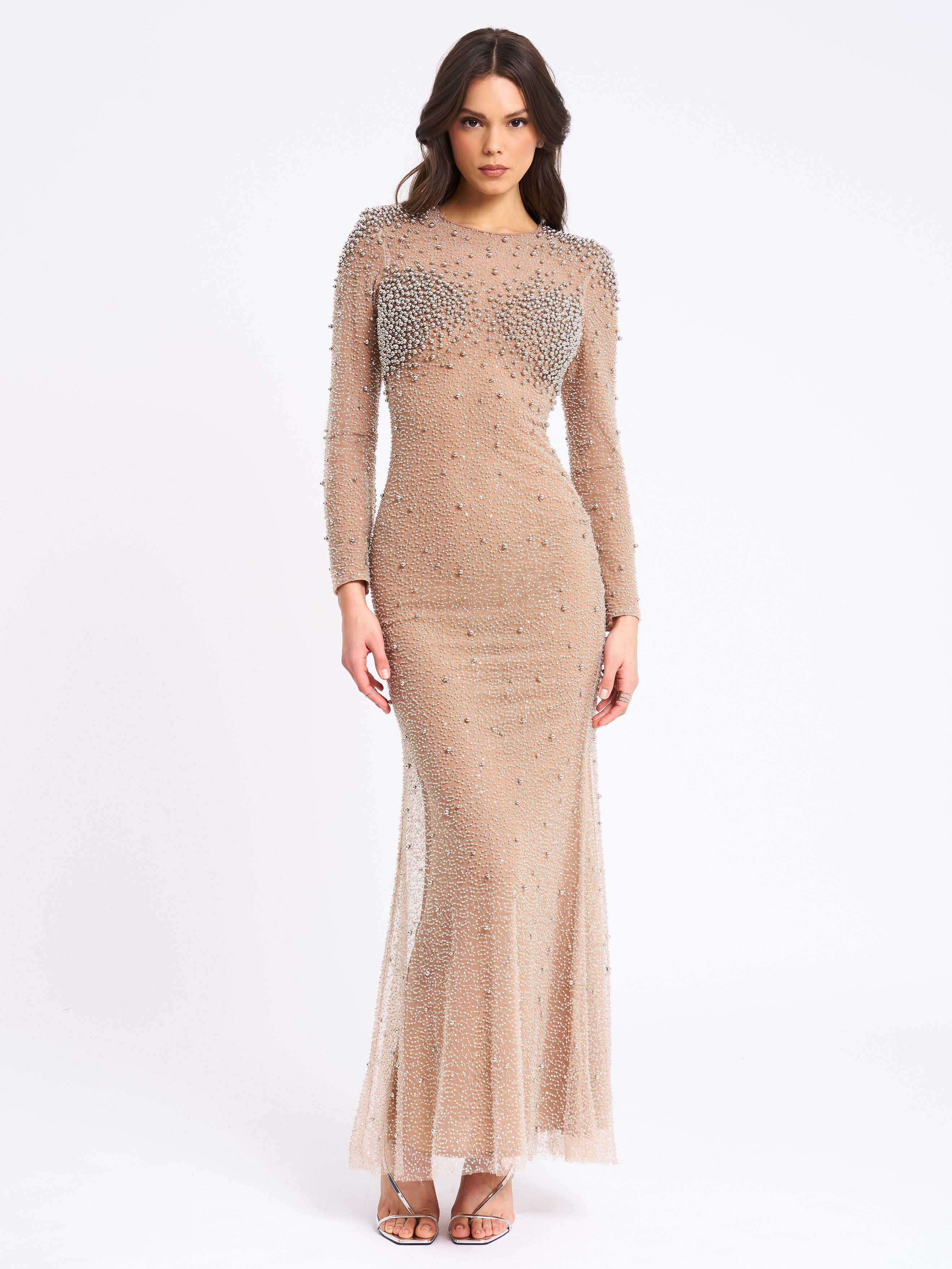 Rita Embroidered Mesh Silver Beaded Mermaid Gown