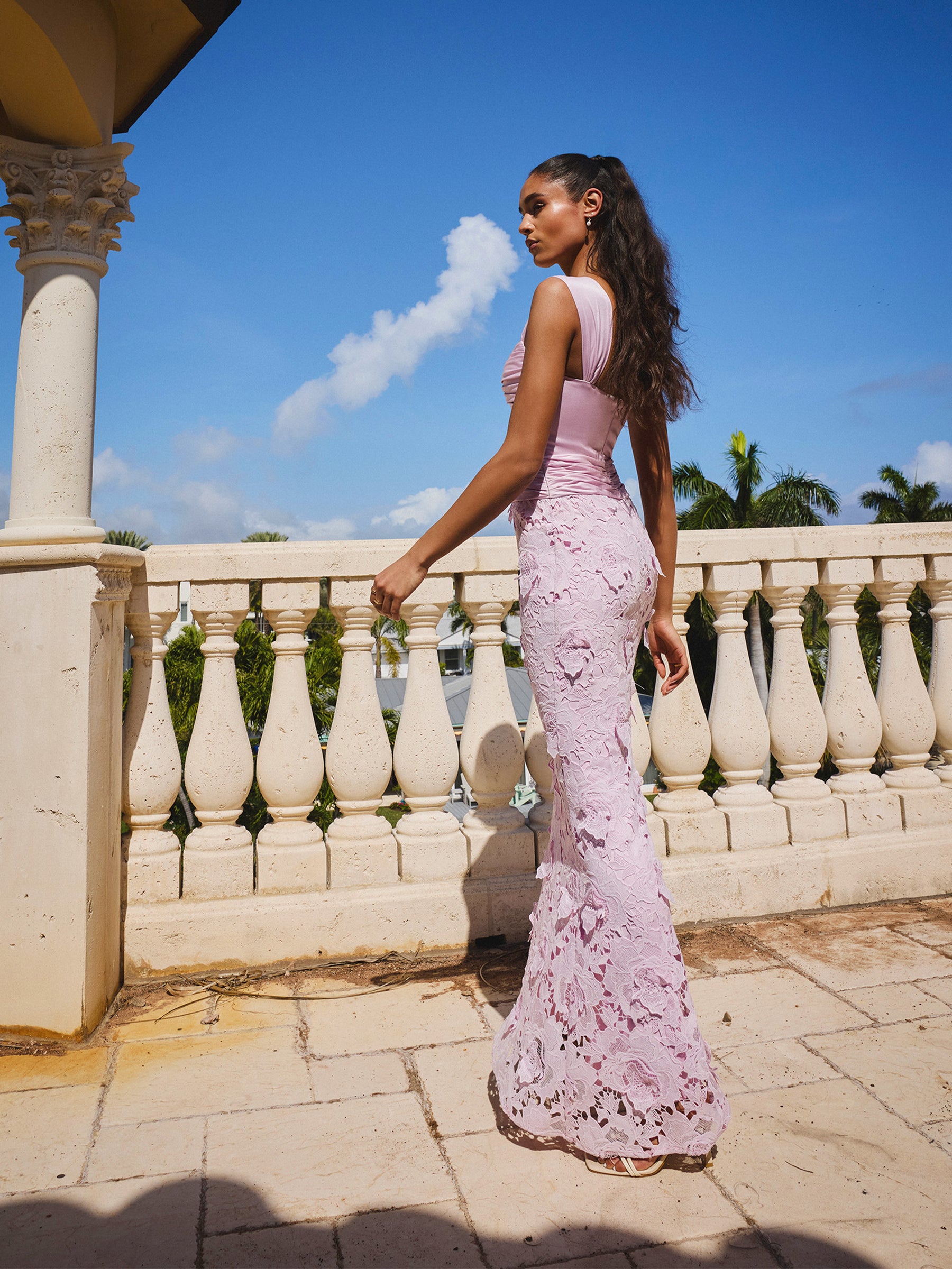 Enchanting Blush Pink Lace Mermaid Evening Gown with Plunge Neckline DP8018