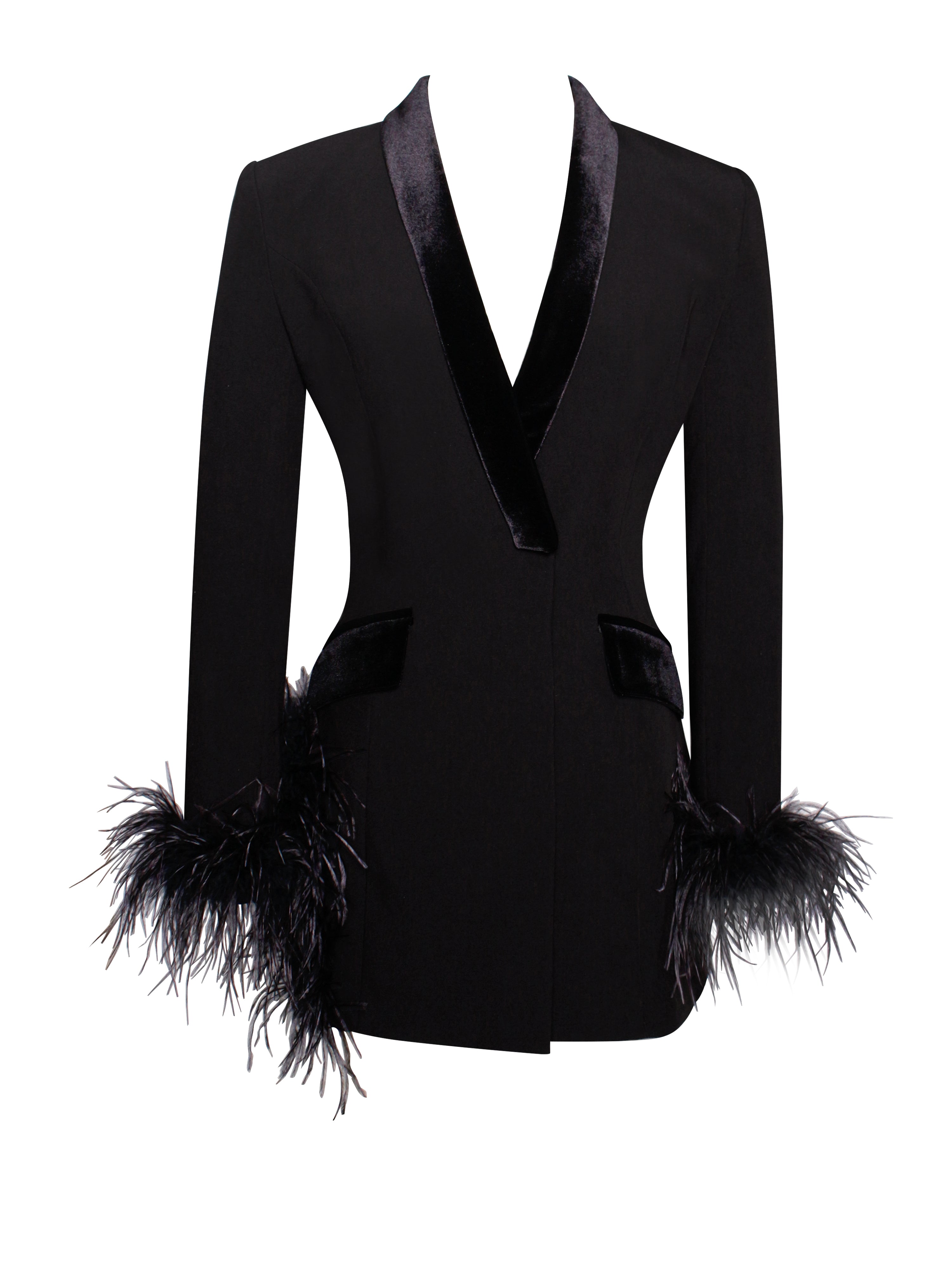 Madeline Black Feather Trim Blazer Dress – Miss Circle