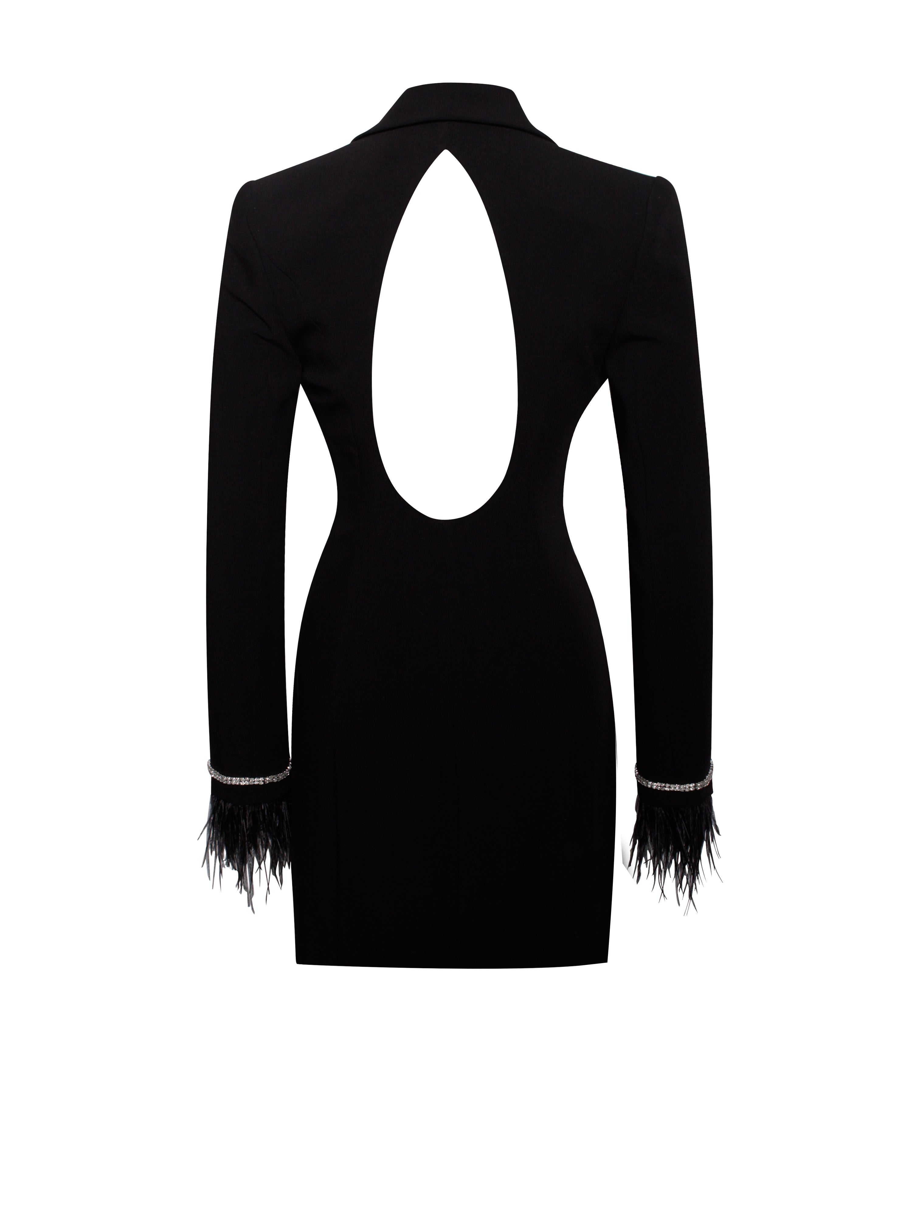 Quilla Black Feather Crystal Sleeve Backless Blazer Dress