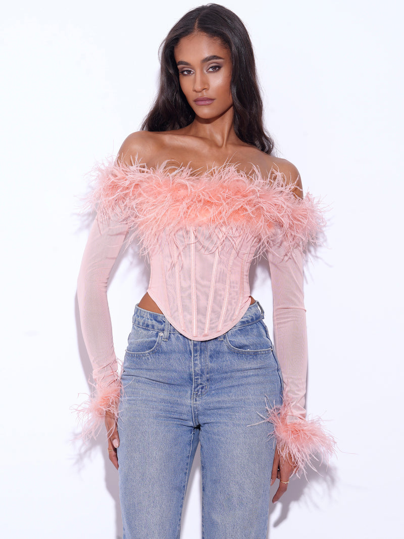 Emer Blush Long Sleeve Mesh Corset Top with Feather